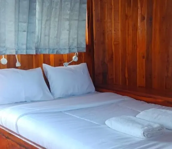Celebbest Guest house